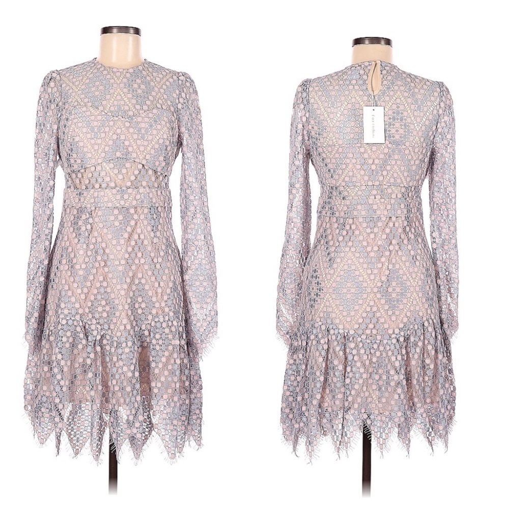 foxiedox Pale Pink and Gray Lace Long-Sleeve Fit-and-Flare Dress